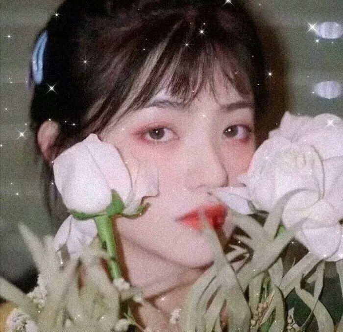 凤女龙驹