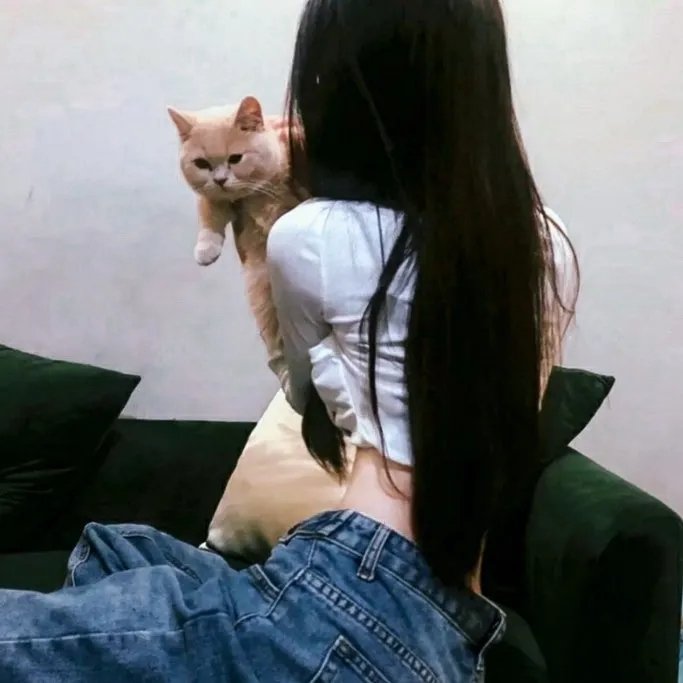 精致晚宴