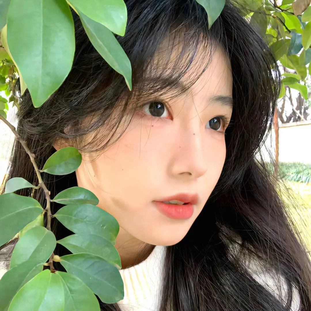 科西嘉岛的夏天